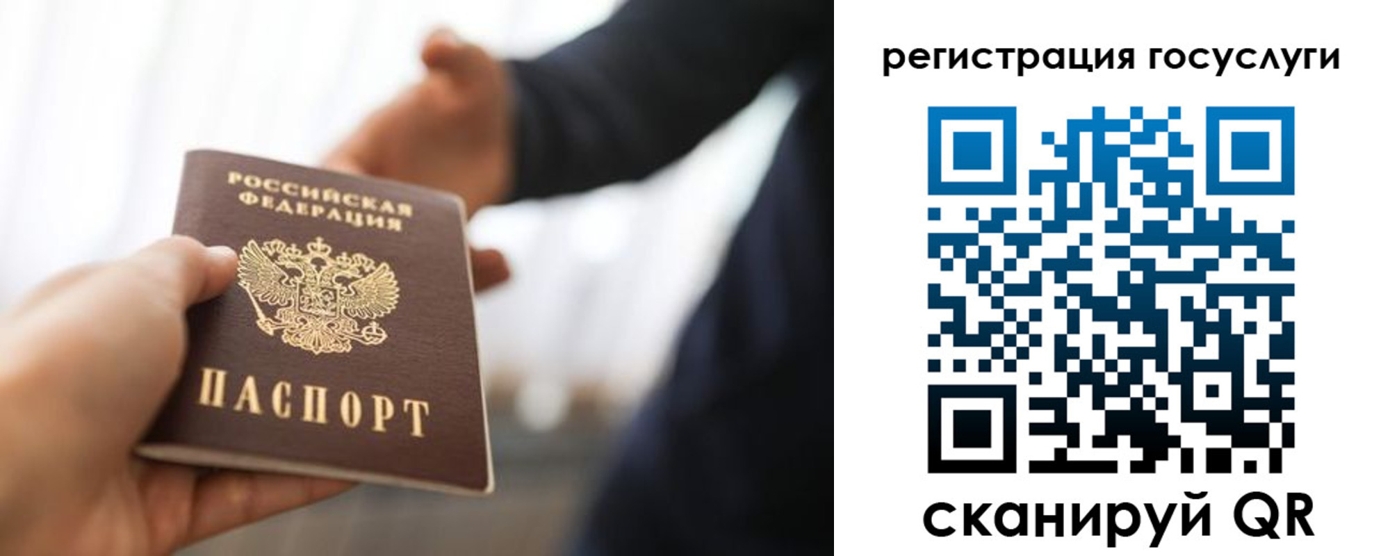 временная регистрация поиск в Ростове